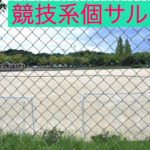 競技系個サル〜指導の楽しみ〜2020年5月29日