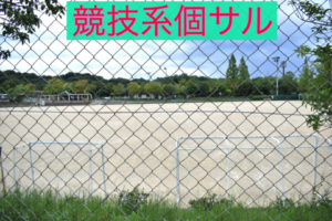 競技系個サル〜指導の楽しみ〜2020年5月29日